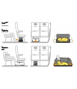 Sac De Transport Pour Chien/chat Spécial Avion 18 Sac De Transport Pour Chien/chat Spécial Avion -Chats Chiens Fournitures Magasin sleepypod air bb2741e3 b99f 4b96 9dd2 1a5829422a9a