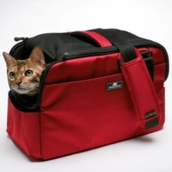 Sac De Transport Pour Chats Et Petits Chien Atom -Chats Chiens Fournitures Magasin sleepypod atom dog carrier strawberry red 11 800x 01727aaa cefb 4a1e 89aa 64453246d781