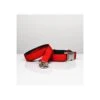 Laisse Pour Chien Solid Red