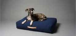 Coussin Pour Chien De Style Nordique -Chats Chiens Fournitures Magasin stockholm b3f9bbe7 8c65 48e5 be7d 9509769ebeb9