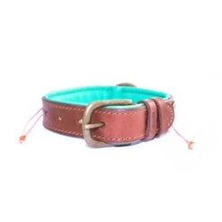 Collier En Cuir Et Perles Sweet Mae Dwam -Chats Chiens Fournitures Magasin sweet mae 2 5 cm collar m 5750 en G