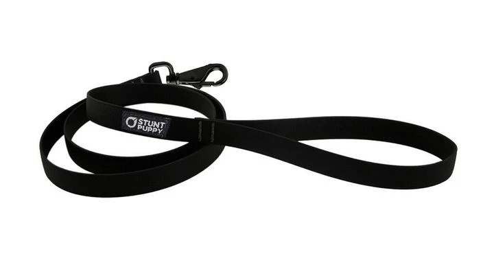 Laisse Biothane Imperméable (5 Couleurs) 4 Laisse Biothane Imperméable (5 Couleurs) – Image 4