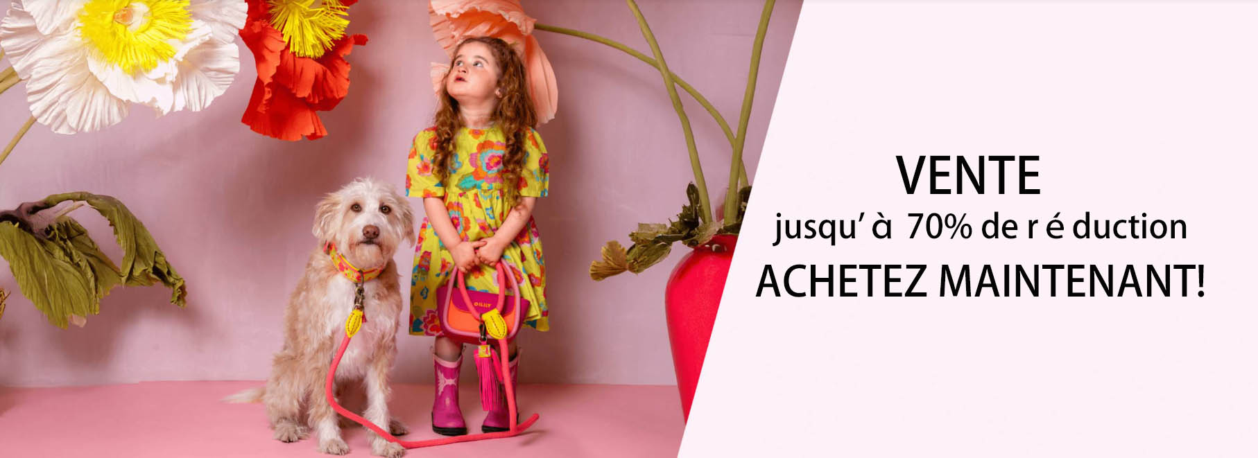 Chats Chiens Fournitures Magasin -Chats Chiens Fournitures Magasin FGHFHY